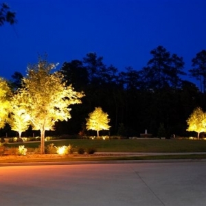 Photo of Walter Jolley Properties