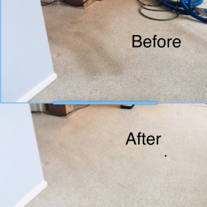 Photo of Eco Carpet Pro