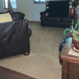 Photo of Eco Carpet Pro
