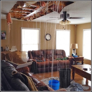 Photo of Got Damage? Fire & Water Rescue