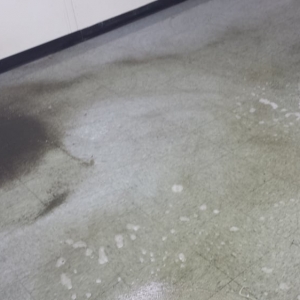 Photo of Clean Source