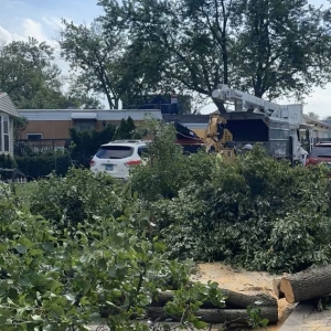Photo of The Tree Guys of Illinois