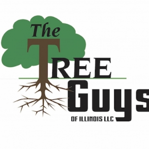 Photo of The Tree Guys of Illinois