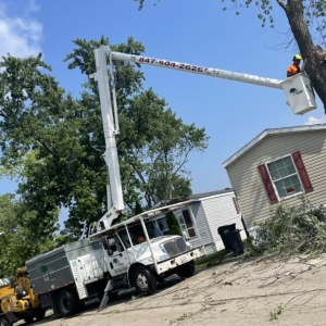 Photo of The Tree Guys of Illinois