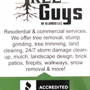 Photo of The Tree Guys of Illinois