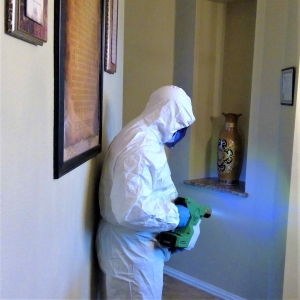 Photo of Resilient Residential Inspections & Disinfecting