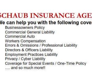 Photo of Schaub Insurance Agency