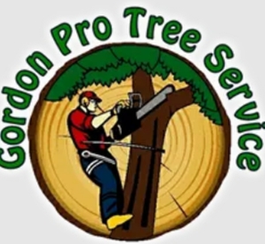 Gainesville Gordon Pro Tree Service