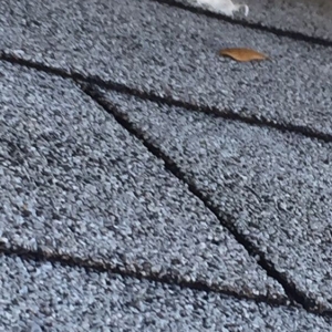 Photo of Alden Roofing