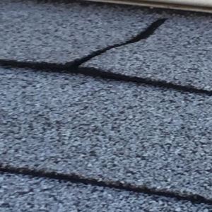 Photo of Alden Roofing
