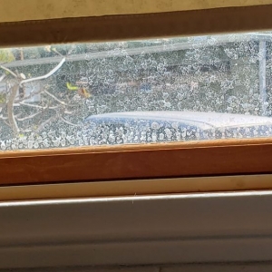 Photo of Adam Kirk Window Cleaning