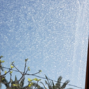 Photo of Adam Kirk Window Cleaning