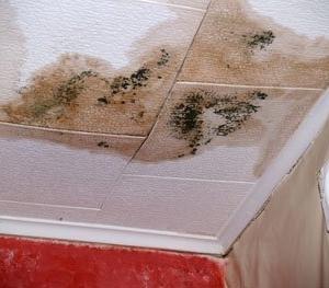 Photo of 24hr Fire and Flood