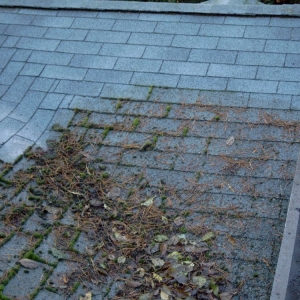 Edmonds D 'n' S Janitorial Services Co