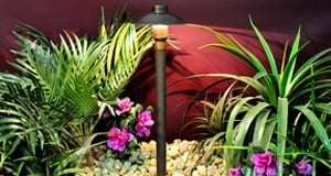 Photo of Softscape Outdoor Lighting