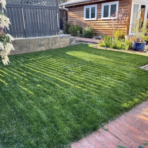 Photo of Economy Landscaping