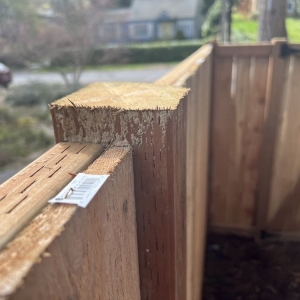 Photo of Economy Landscaping