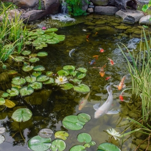 Photo of Splash Supply Company
