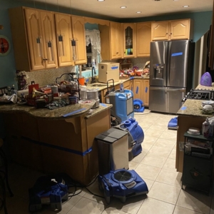Photo of Rapid Restoration