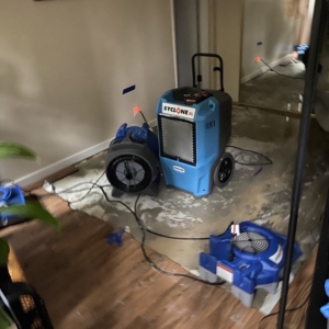 Photo of Rapid Restoration