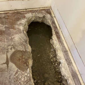 Photo of Basement Flood Protector