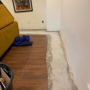 Photo of Basement Flood Protector