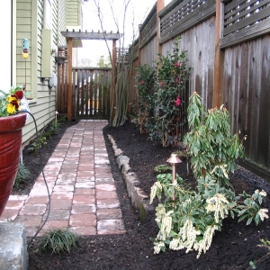 Photo of Blue Skies Lawn Care