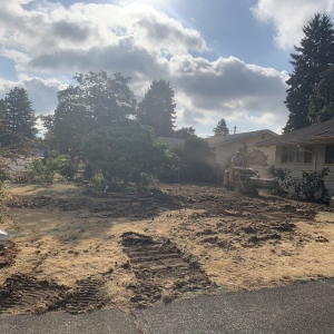 Photo of Blue Skies Lawn Care