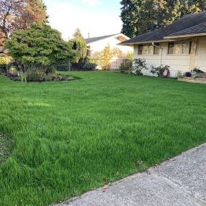 Photo of Blue Skies Lawn Care
