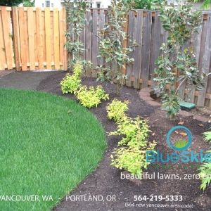Photo of Blue Skies Lawn Care