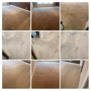 Photo of James Carpet Cleaning