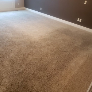 Photo of James Carpet Cleaning