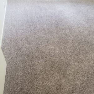 Photo of James Carpet Cleaning