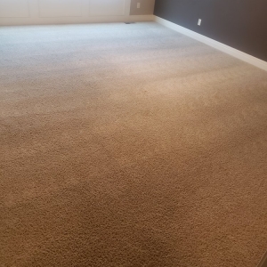 Photo of James Carpet Cleaning