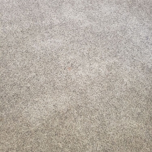 Photo of James Carpet Cleaning