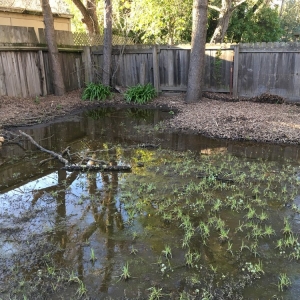 Photo of Drainage Pros