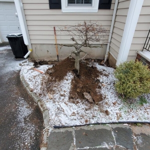 Photo of Advance Restoration