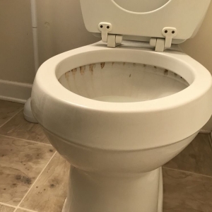 Photo of Sunflower Cleaning Group