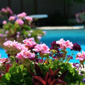 Photo of Guaranteed Pool Service