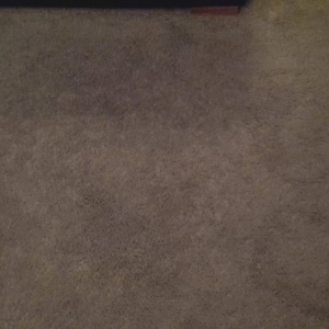 Photo of Excel Carpet Flooring