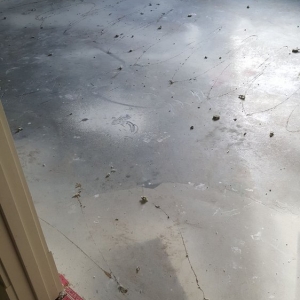 Photo of Excel Carpet Flooring