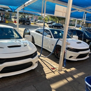 Dallas Carnation Auto Spa