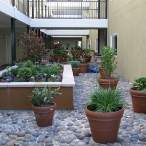 Photo of Balmoral Apartments