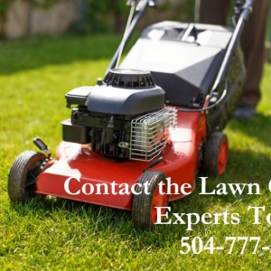 Photo of New Orleans Landscaping