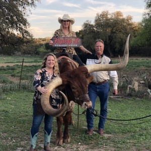 Photo of Flying L Ranch Resort