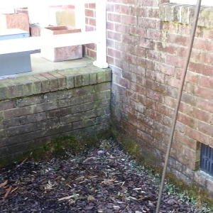 Photo of Blackiston Property Services