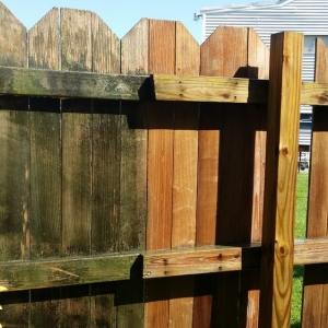 Photo of Blackiston Property Services