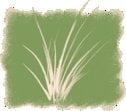 Photo of Dean Design Landscape Architecture