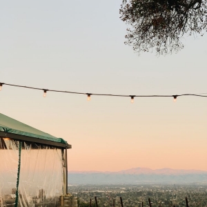 Photo of House Family Vineyards