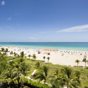 Photo of Alexandra - Miami Beach